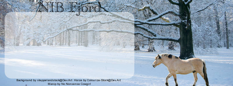 Fjords in Snow