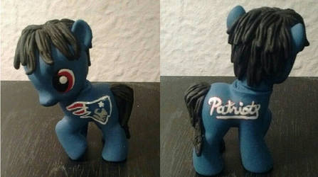 Patriot's Pony