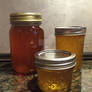 Honey Harvest