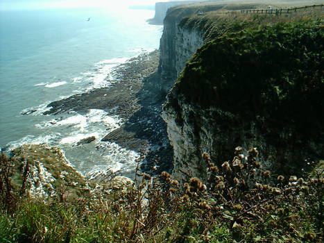 Cliff