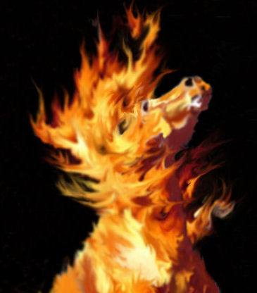 Fire Horse