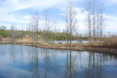 Gravel Pits - May