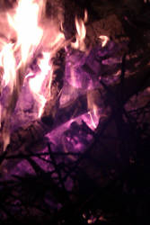 Bonfire