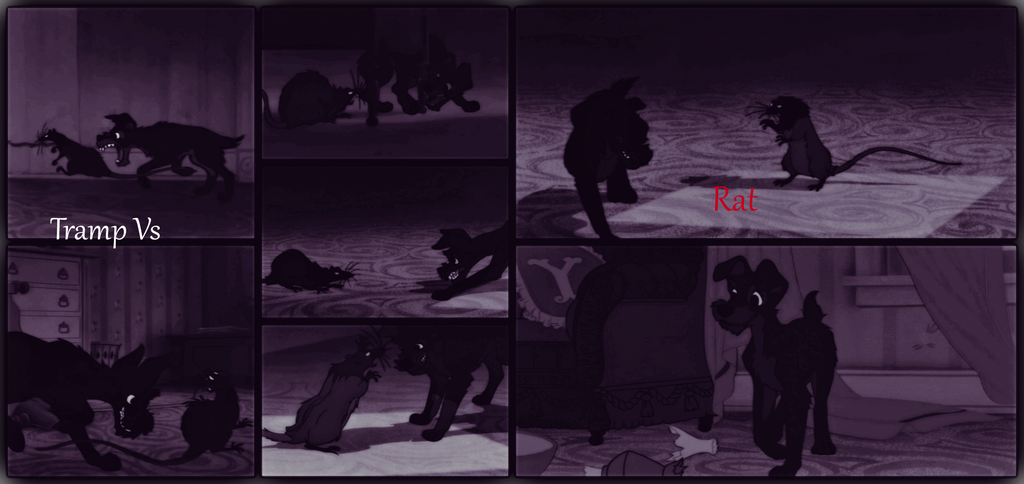 Lady And The Tramp 2019 Tramp Vs Rat Tramp Vs Rat. by coneyislandqueen16 on DeviantArt
