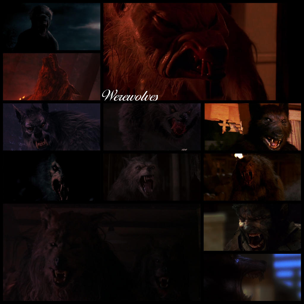Transworld Werewolf Werewolves. by coneyislandqueen16 on DeviantArt