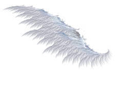 Angel Wing