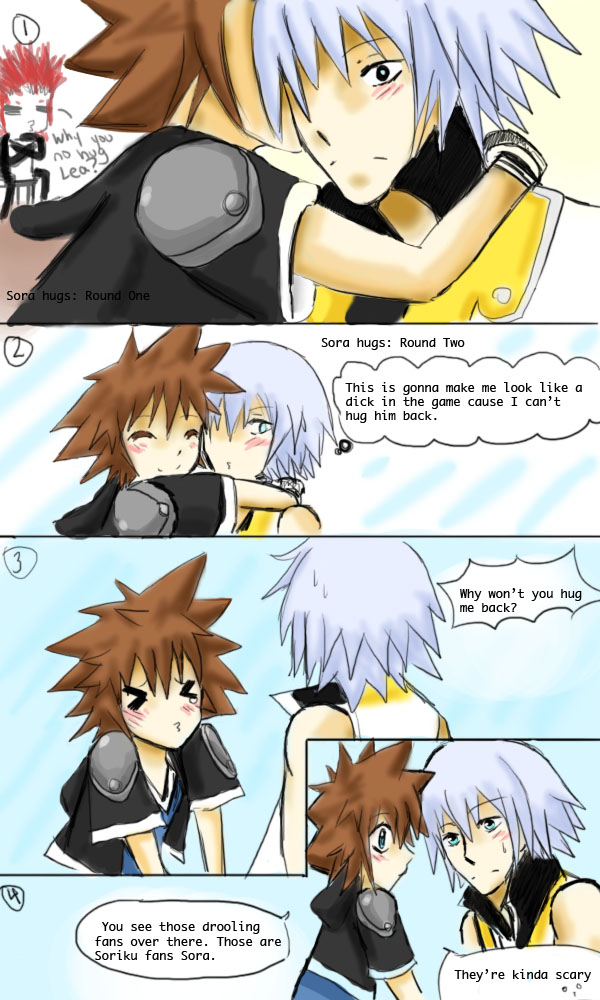 Sora Hugs Denied: 3Ds