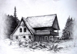 Wooden house