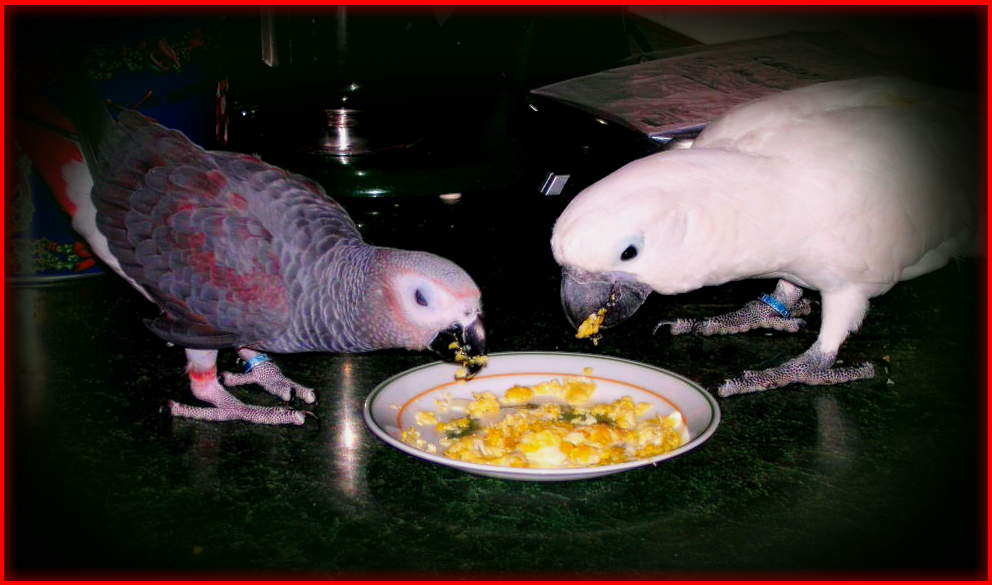 pepper, sugar and the scrambled eggs 2