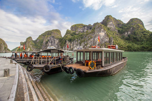 The Boats in Ha Long Bay