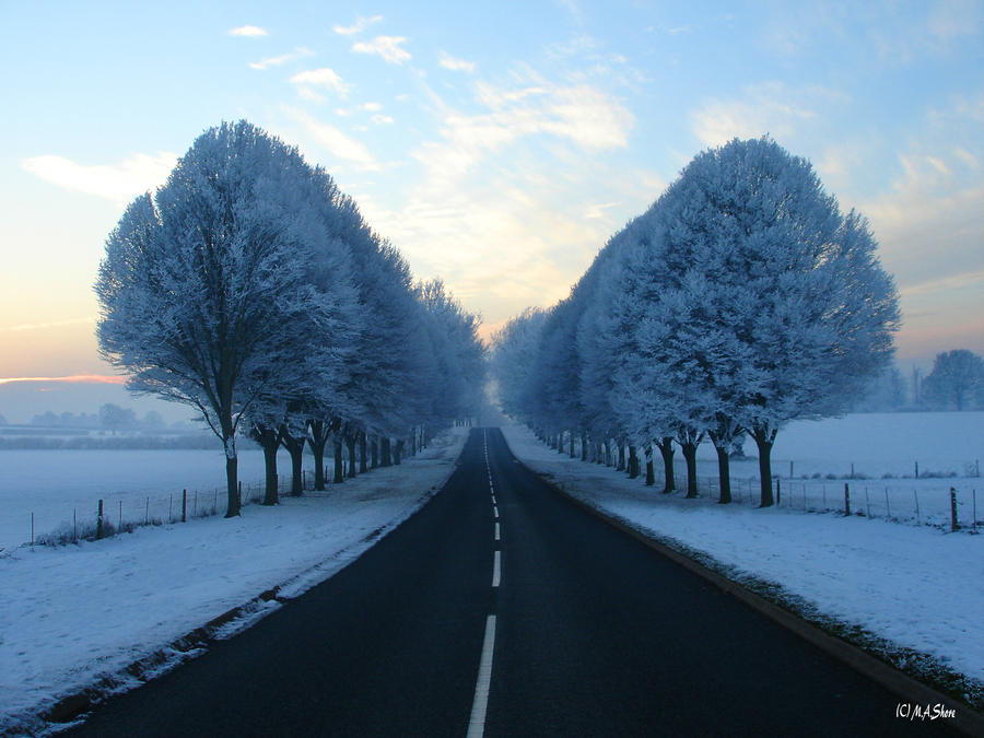 Cold Road