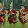 Lace Wars at Cannock Chase 2013 (118)