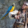 Captain Jack Sparrow Cosplay (55)