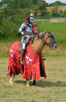 Kenilworth Castle Joust 2014 (71)