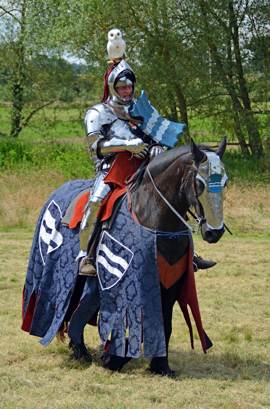 Kenilworth Castle Joust 2014 (73)