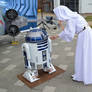 R2-D2 and Princess Leia (4)
