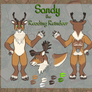 Sandy the Reading Reindeer Ref Sheet