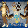 Aesir Blue Charactersheet