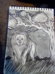 Lion doodle