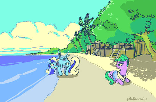 Beach ponies