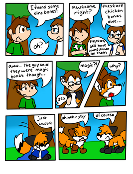 Lots of Foxes (1/3)