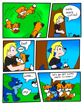 Lots of Foxes (3/3)