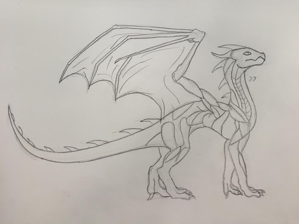 Dragon muscle practice