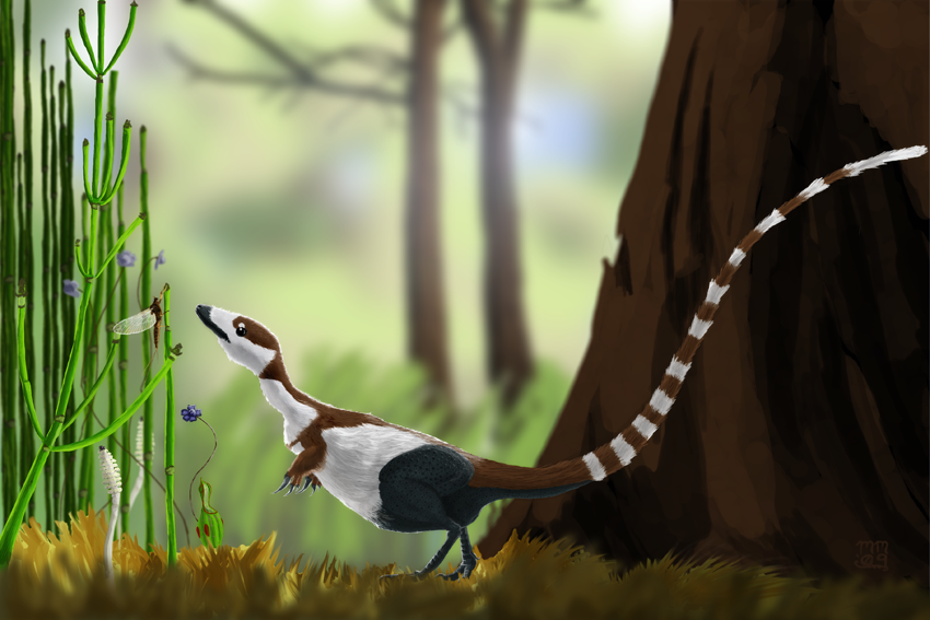 Deviantart Ringtail Ringtail by MattMart on DeviantArt