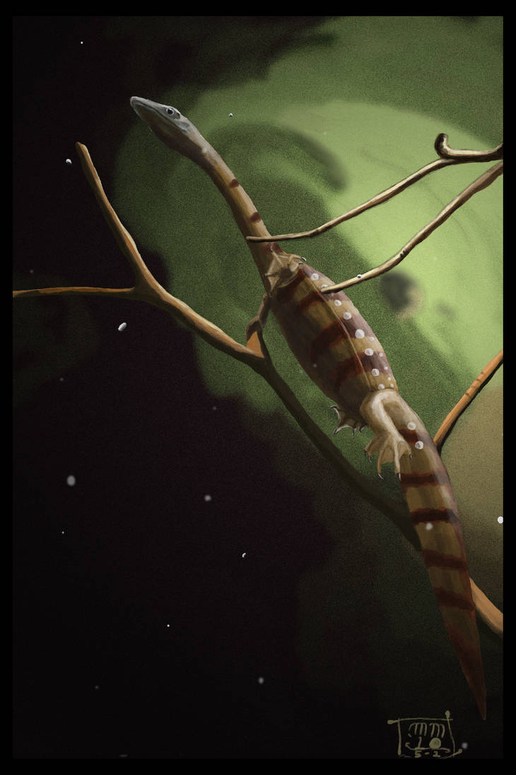 Submerged by MattMart