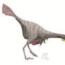 Caudipteryx zoui