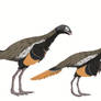 Similicaudipteryx yixianensis
