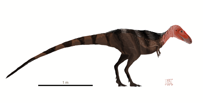 Raptorex kriegsteini by MattMart