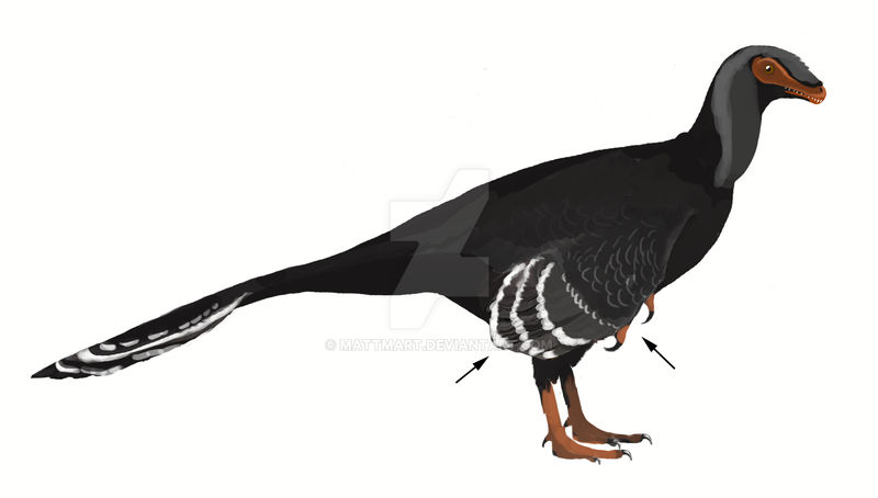 Yixianosaurus longimanus