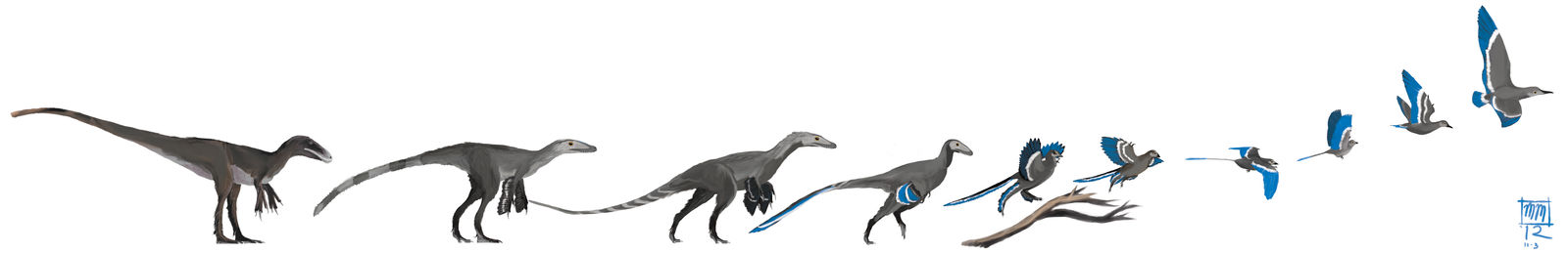 Bird Evolution Deviantart The Ascent of Bird by MattMart on DeviantArt