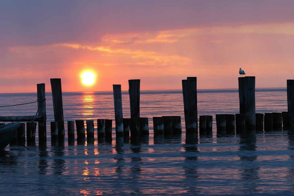 sunset at the sea