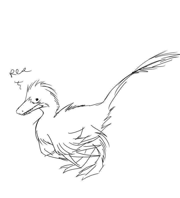 Fuzzy Raptor FUZZY VELOCIRAPTOR by nickyb123 on DeviantArt