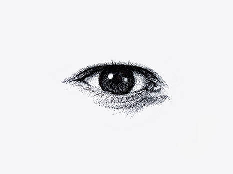 eye study