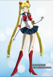 Sailor Moon ori with detail