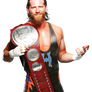 Curt Hawkins 2019 Raw Tag Team Champion NEW Render