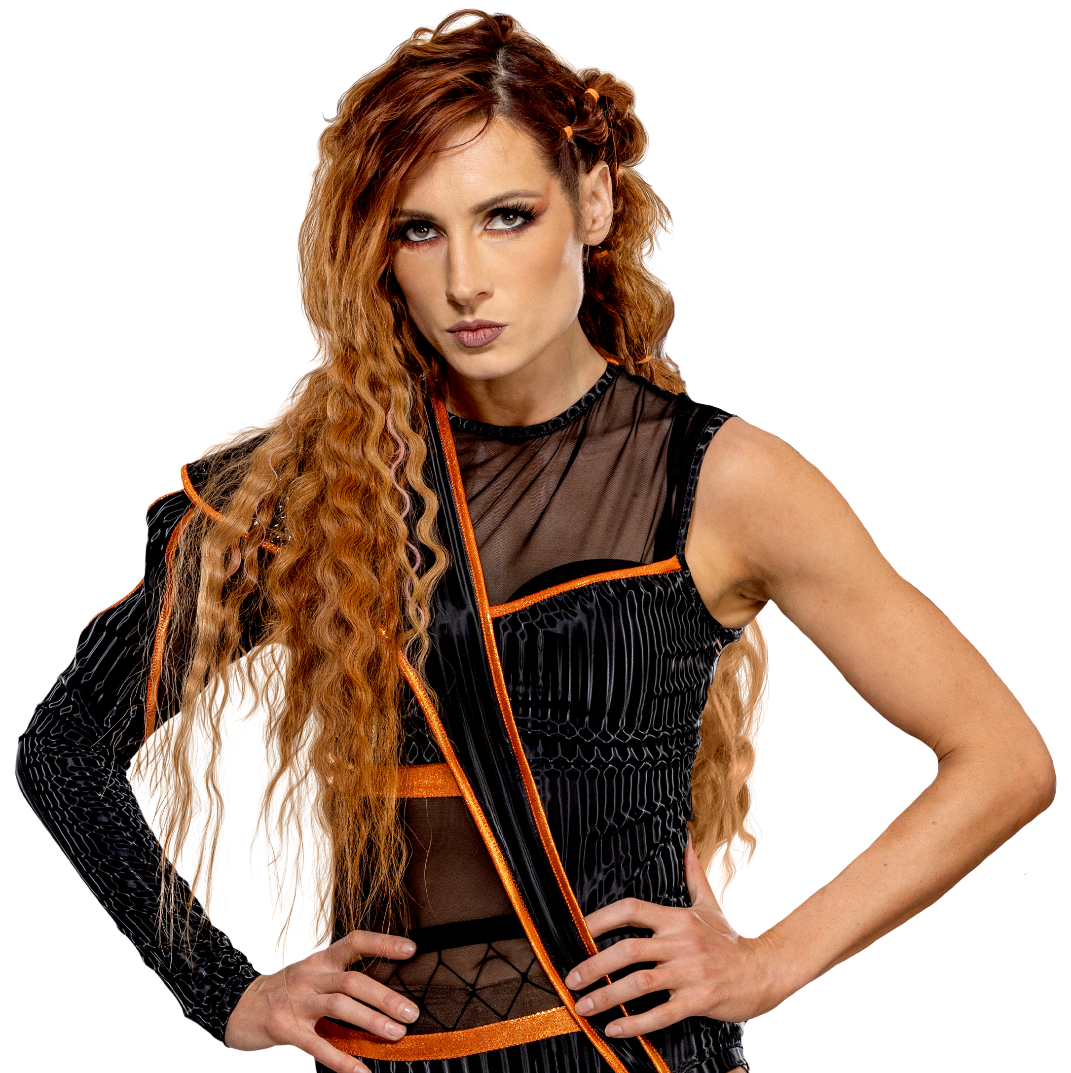 Becky Lynch WWE NXT Womens Champion Render 2023 by beckysbelair on  DeviantArt