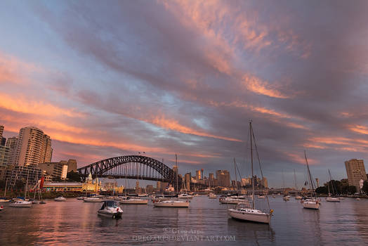 Lavender Bay, Sunset