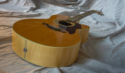 Guitar series : Takamine EG543SC