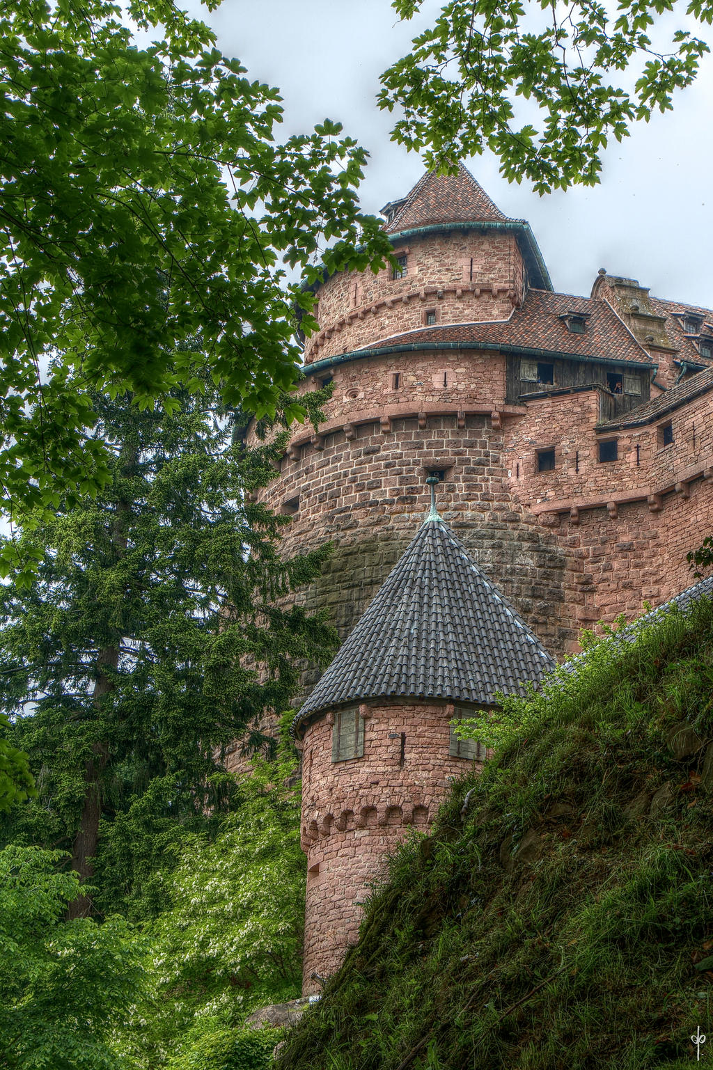 Haut-Koenigsbourg HDR