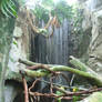 Rainforest - waterfall