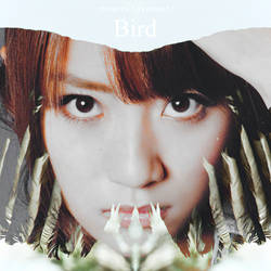 Minami Takahashi - Bird (Fan-made CD Cover)