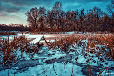 Magic Winter Evening