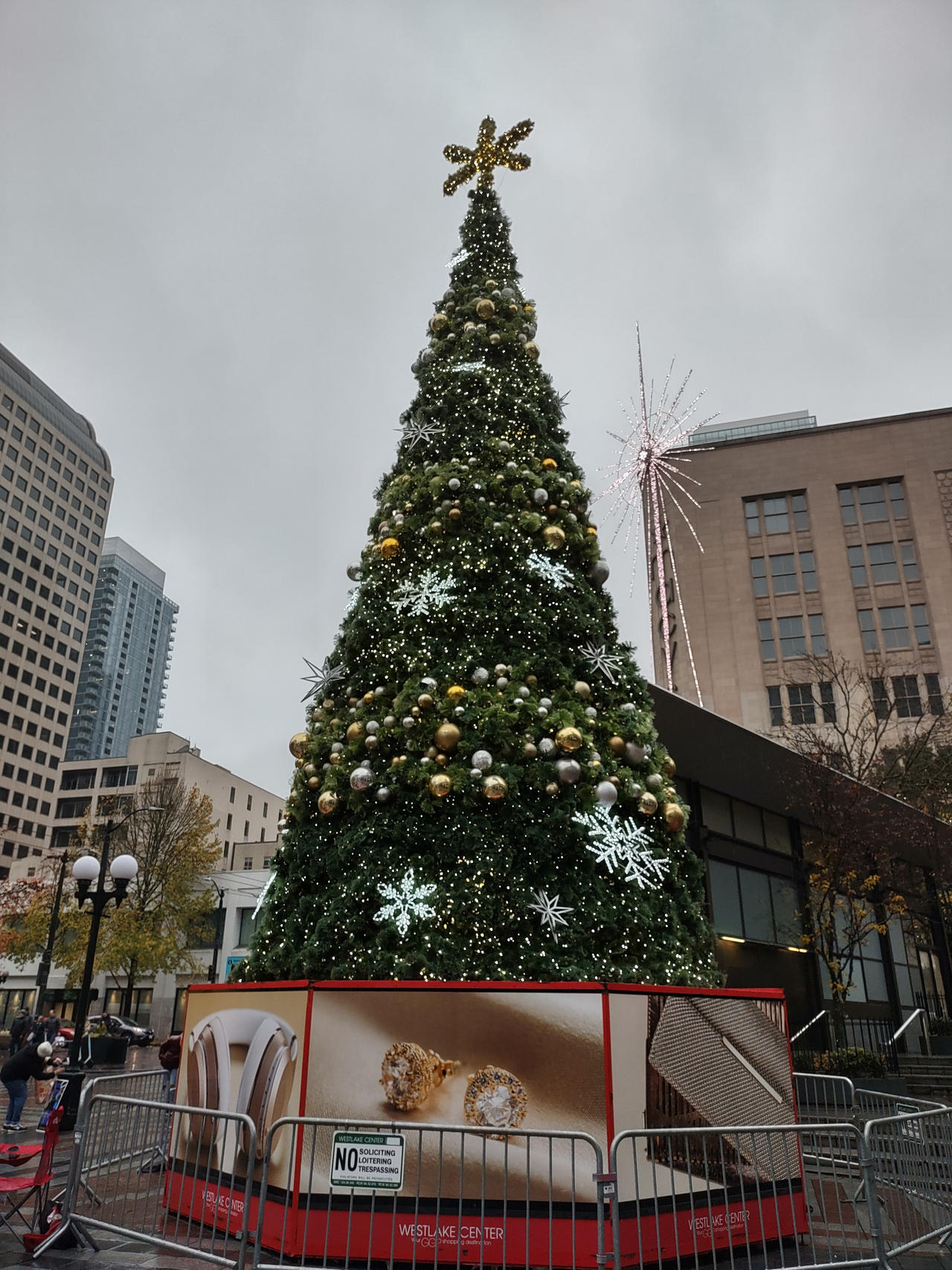 Seattle Christmas Tree Lighting 2025