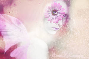 Fairy