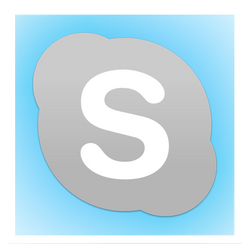 The Skype Icon