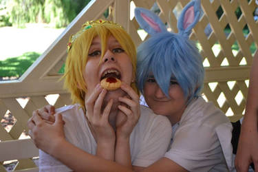 King Kise / Bunny Kuroko